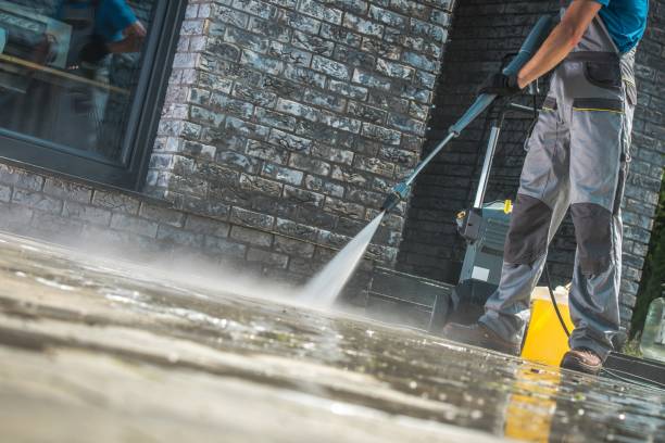 Best Graffiti Removal  in Lealman, FL